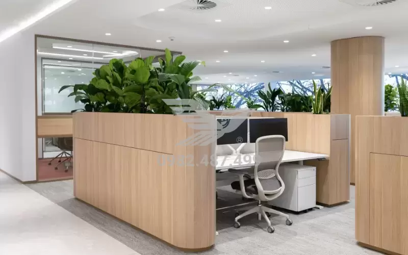 Các Cây Để Bàn Làm Việc Hợp Phong Thủy Theo Từng Mệnh