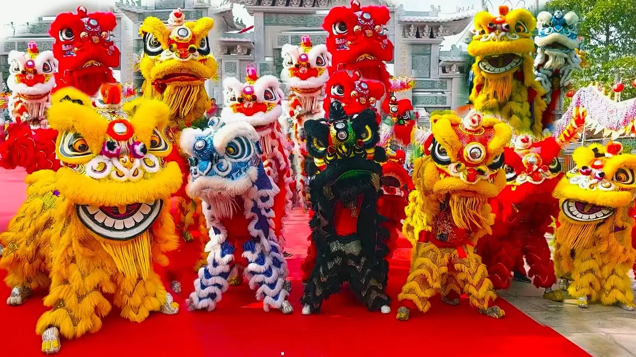 hoat-dong-cung-khai-truong